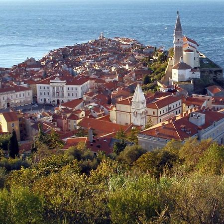 Bozena Studio Kneb Portorož Kültér fotó