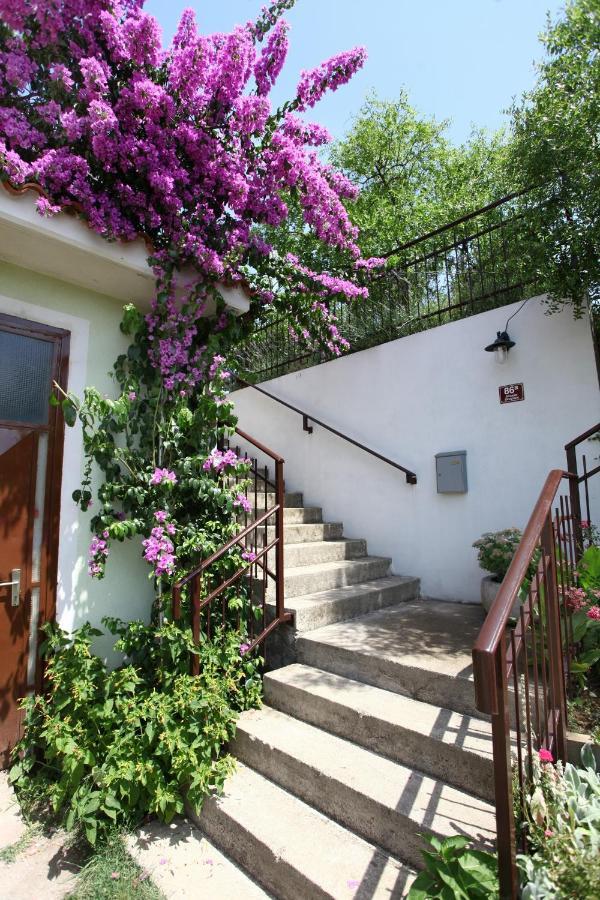 Bozena Studio Kneb Portorož Kültér fotó